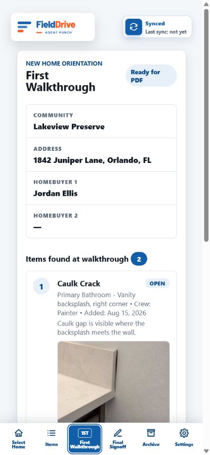 FieldDrive Agent Punch First Walkthrough report with fictional buyer and issue data